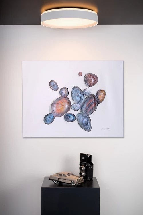 Lucide NURIA - Lámpara de techo - Ø 40 cm - LED 3 StepDim - 1x24W 2700K - Blanco - ambiente 1